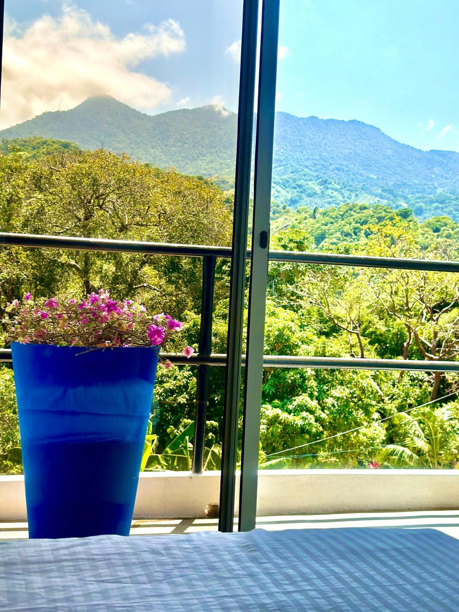 Tayrona Angel Lodge エル・ザイノ エクステリア 写真